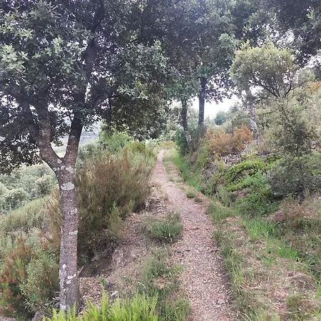 Las Peonias Casa Rural Almiruete Buitenkant foto
