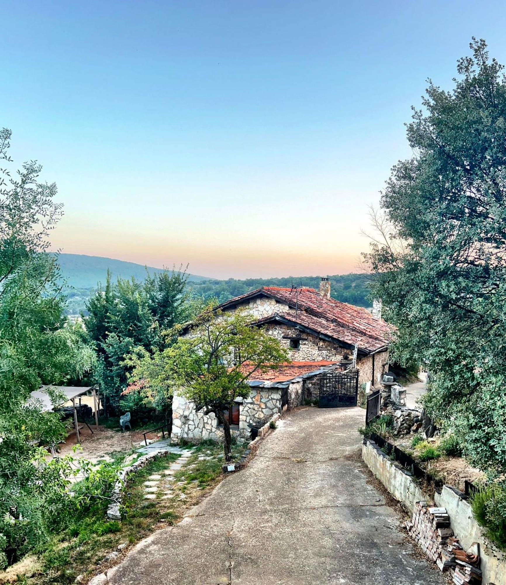Chalet Peonias *