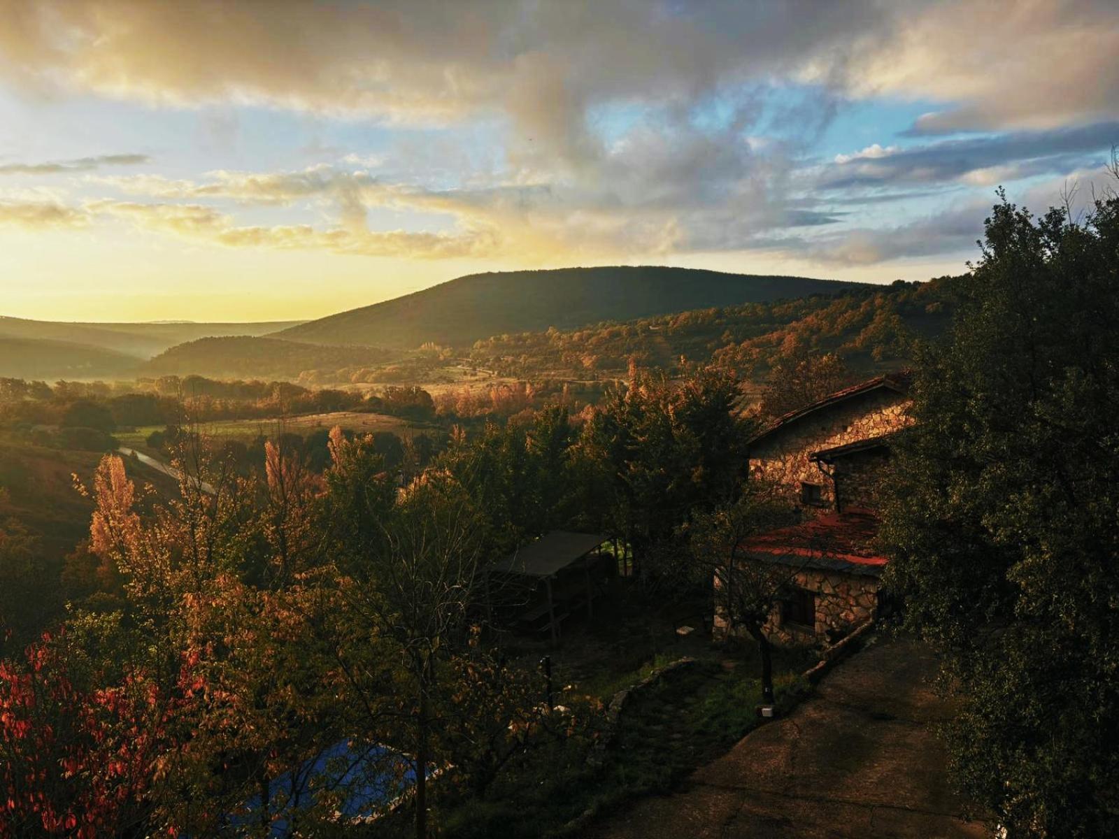 Chalet Peonias